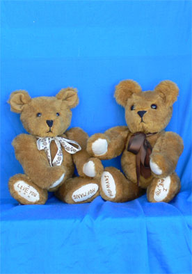 Hoffman Twins Bears